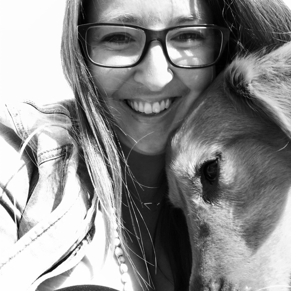 Meet your Posher, Stacy